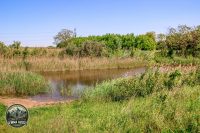 Watermark_17IMG_9061