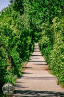 Watermark_20IMG_9065
