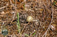 Watermark_29IMG_9074