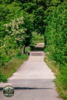 Watermark_6IMG_9050