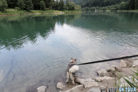 Speichersee Tassenbach