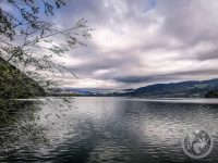 26IMG_20230429_085323-Kopie