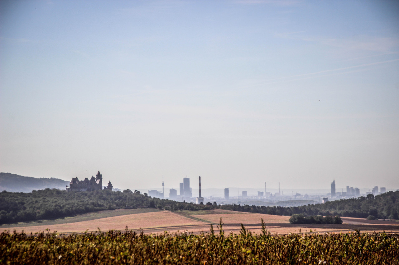 30IMG_1147