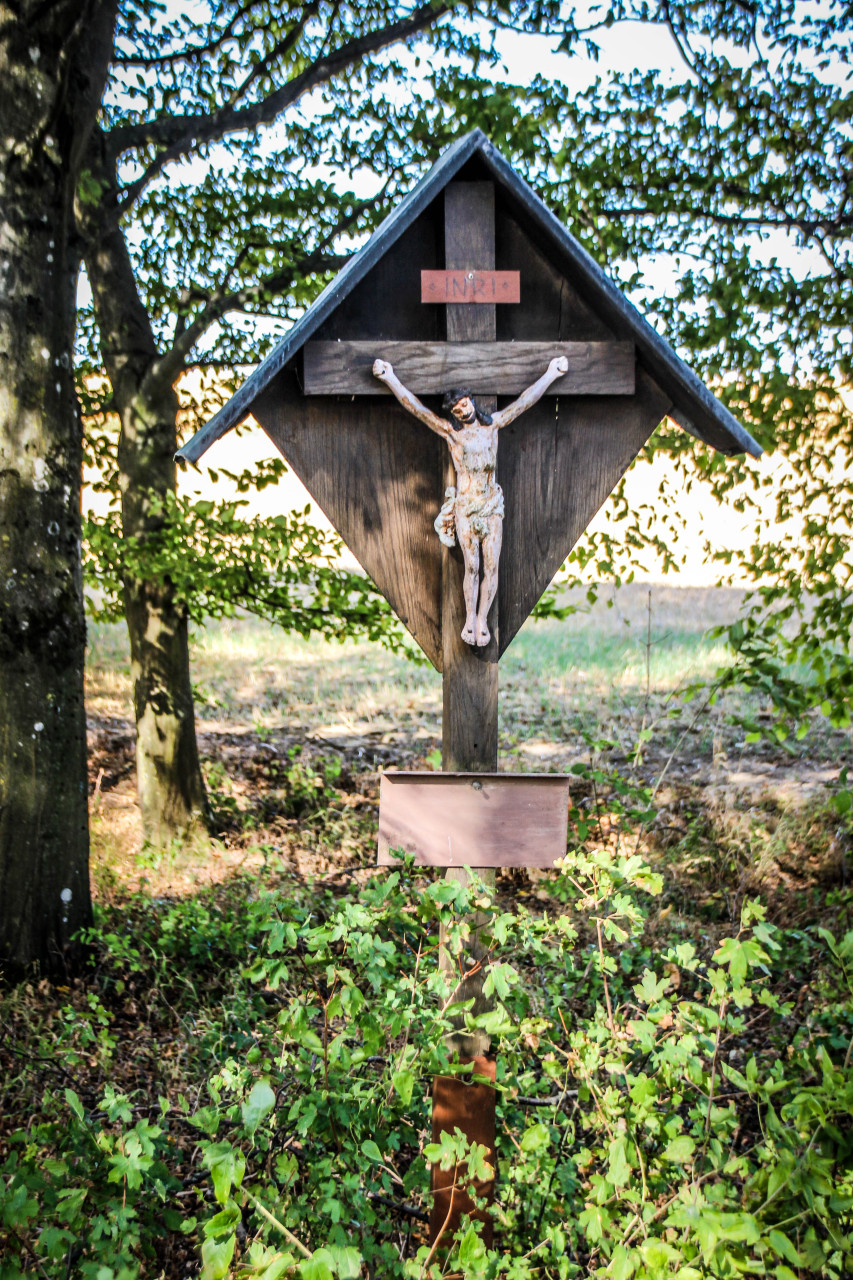 36IMG_1151