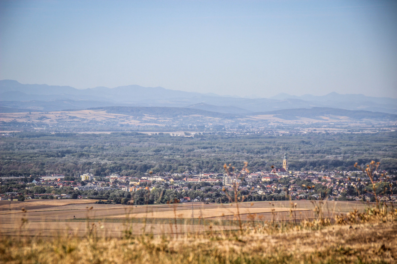 49IMG_1164