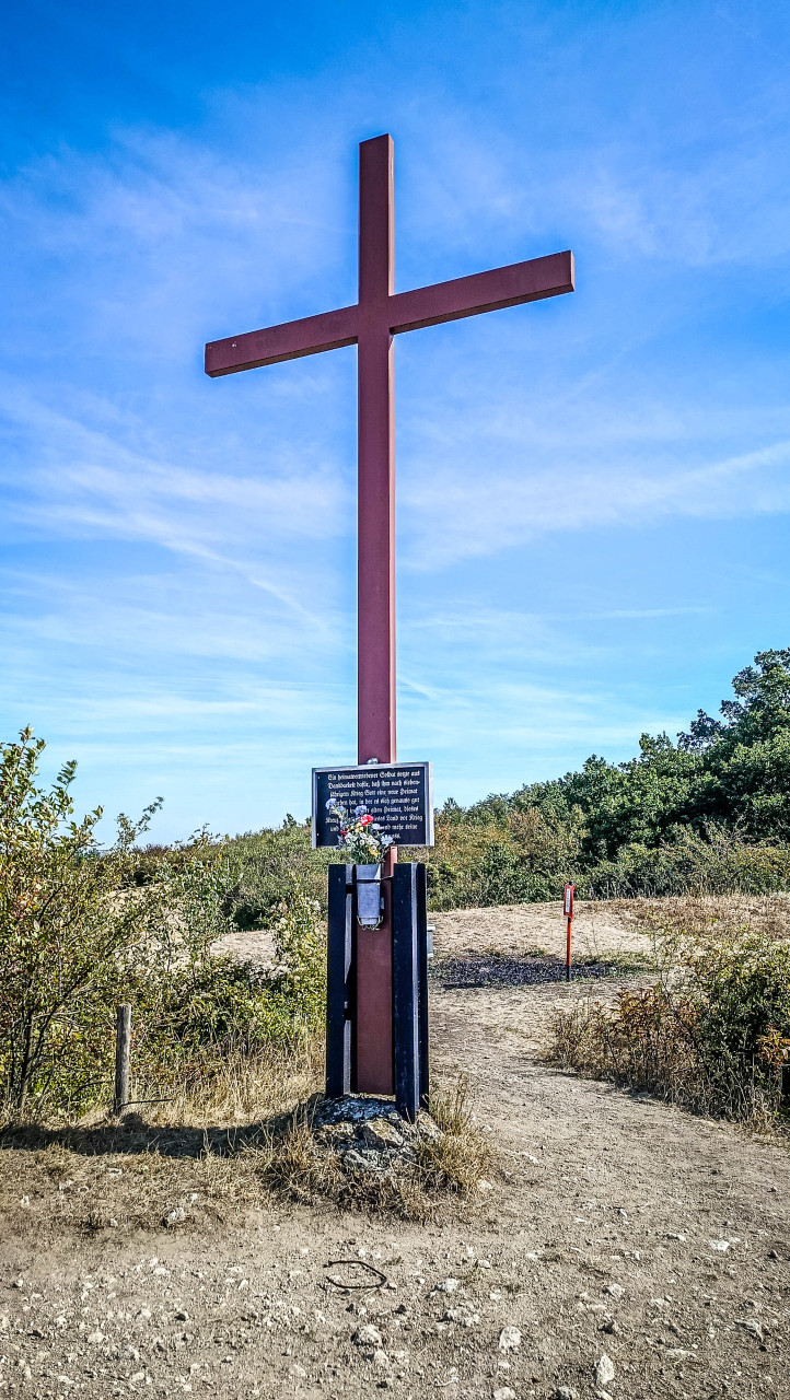 53IMG_20260907_102221