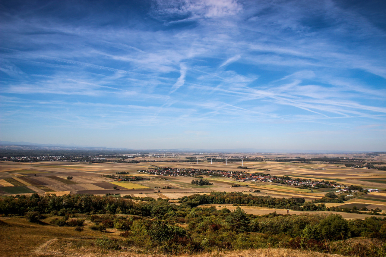 59IMG_1174