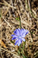 100IMG_1212