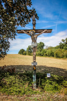 107IMG_1221