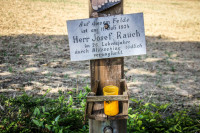 108IMG_1222
