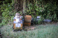 10IMG_1115