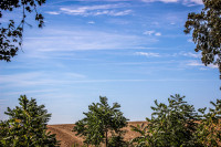 112IMG_1226