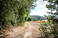 114IMG_1228