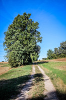 11IMG_1116