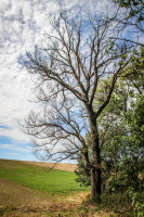 122IMG_1240