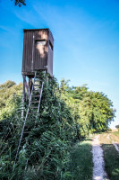 12IMG_1117