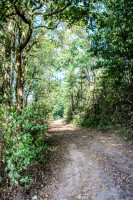 17IMG_1122