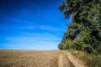 23IMG_1135