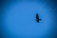 24IMG_1139