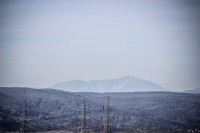 25IMG_1142