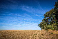 26IMG_1143