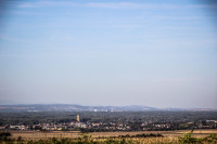31IMG_1148