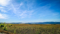 33IMG_20260907_095352