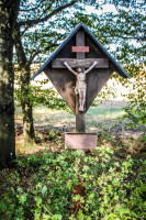 36IMG_1151