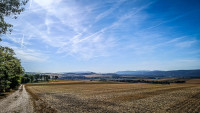 38IMG_20260907_100130