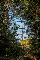 46IMG_1161