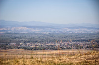 49IMG_1164