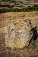 54IMG_1168