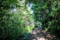 5IMG_1107