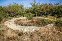 64IMG_1179