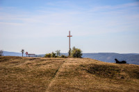 65IMG_1180