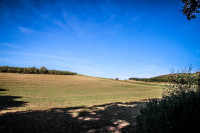 6IMG_1110