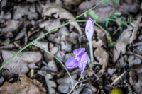 7IMG_1112