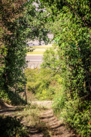 86IMG_1193