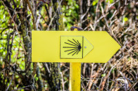 90IMG_1197