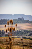 97IMG_1206