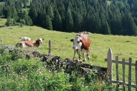 Wanderung im Gschlösstal (28.07.2020)