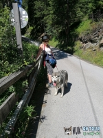 IMG_20200728_104739