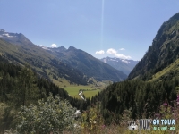 IMG_20200728_105558