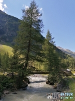 IMG_20200728_114319