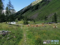 IMG_20200728_125917