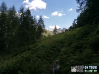 IMG_20200728_130728