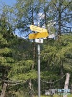 IMG_20200728_131036