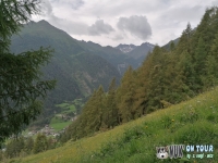 IMG_20200726_112132