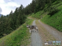 IMG_20200726_112139