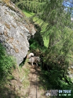 IMG_20200726_143705